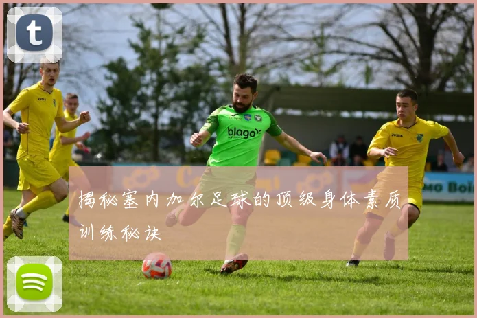揭秘塞内加尔足球的顶级身体素质训练秘诀