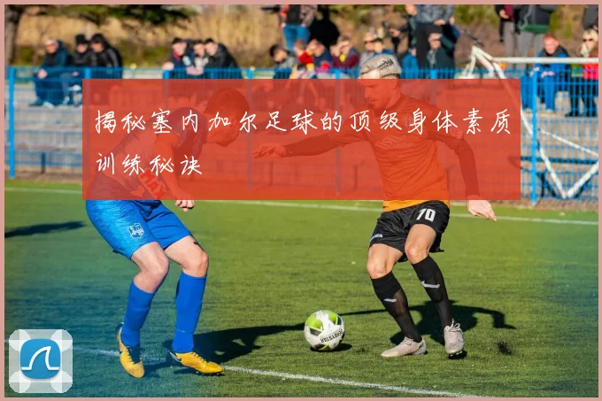 揭秘塞内加尔足球的顶级身体素质训练秘诀