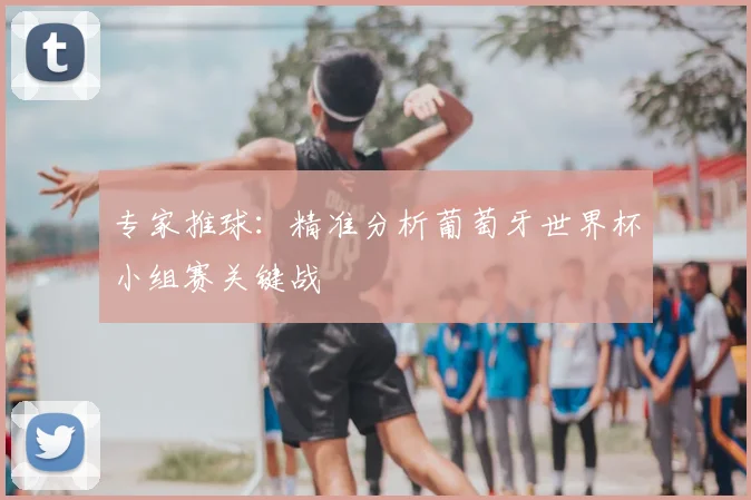 专家推球：精准分析葡萄牙世界杯小组赛关键战